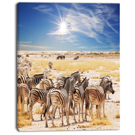 Beautiful Herd of Zebra on Bright Day - African Wall Art Print