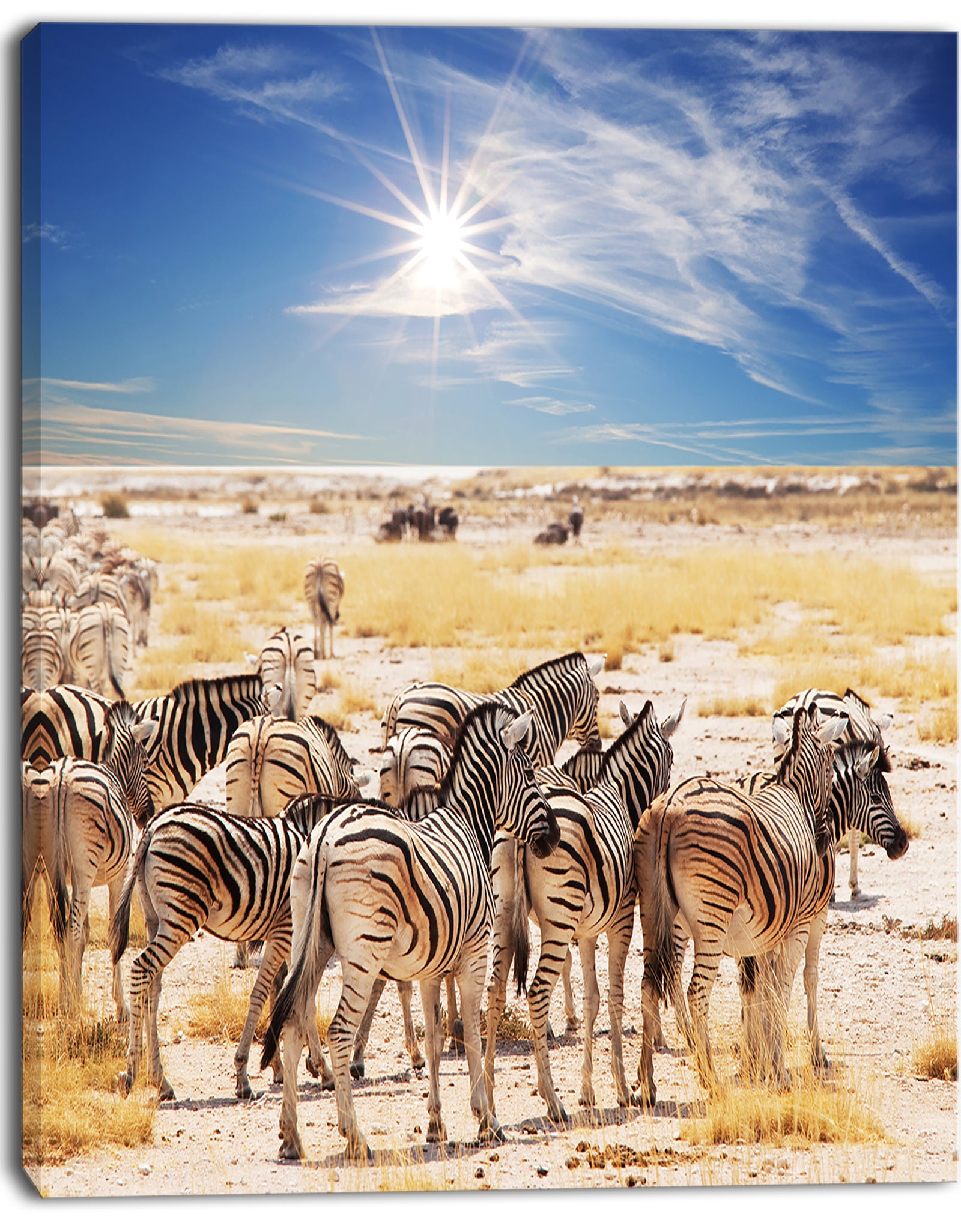Beautiful Herd of Zebra on Bright Day - African Wall Art Print