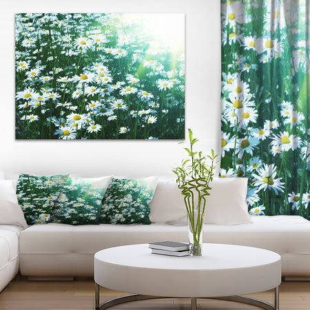 Sunny Garden with Cute White Flowers - Large Flower Canvas Artwork