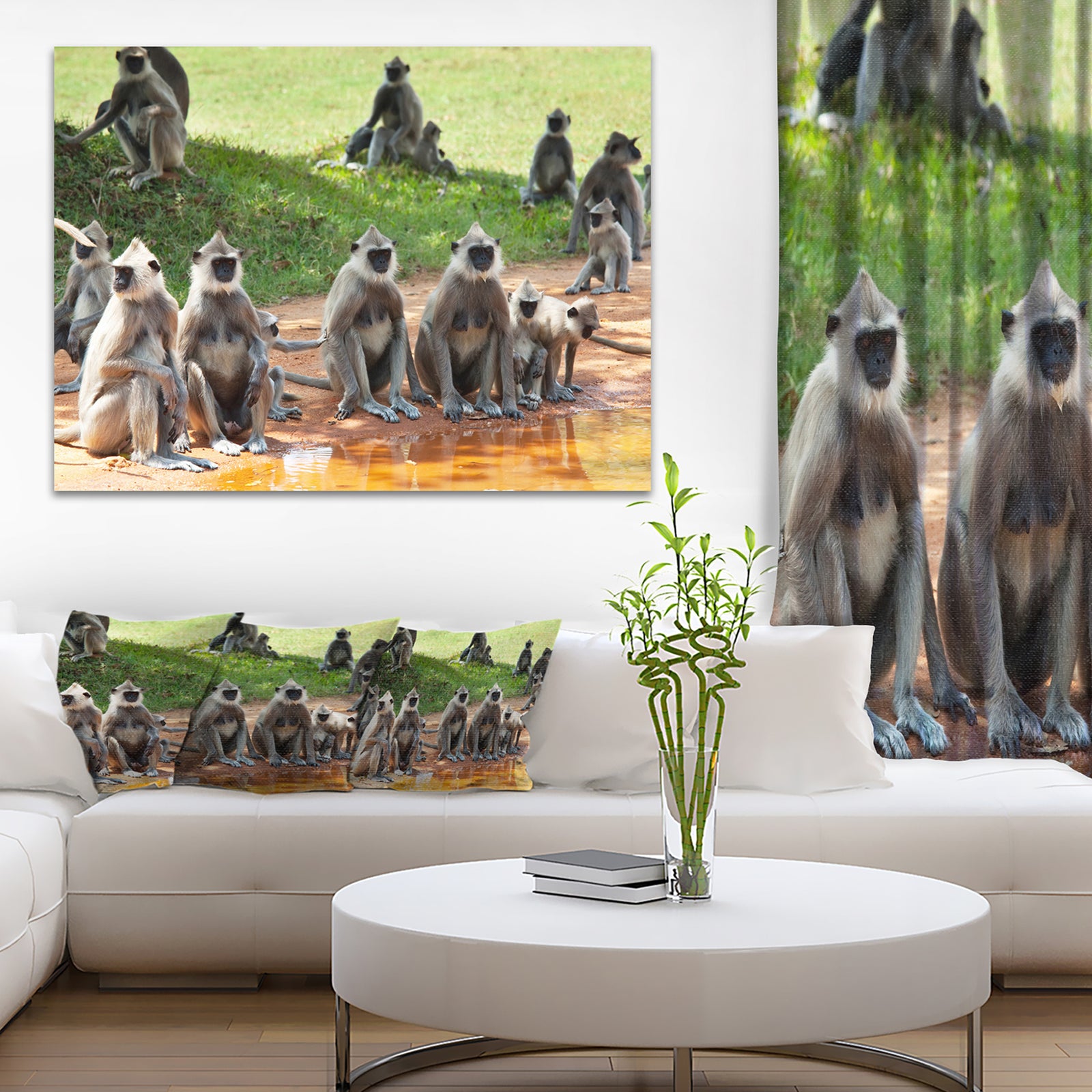 Monkeys in Sri Lanka - African Canvas Artwork