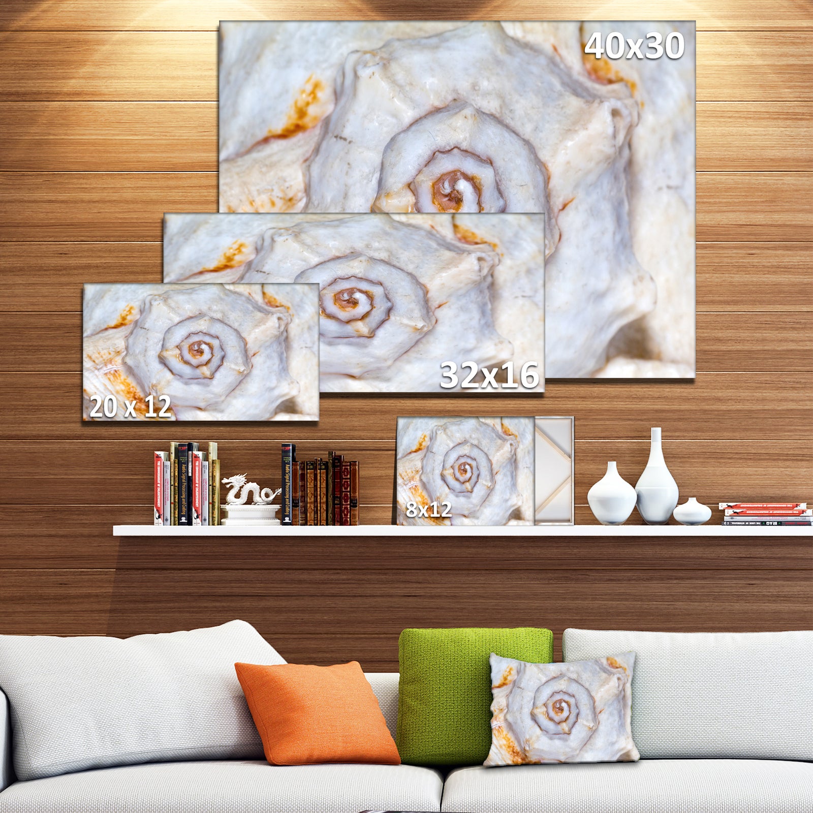 Great Skeleton of Sea Shell - Oversized Animal Wall Art