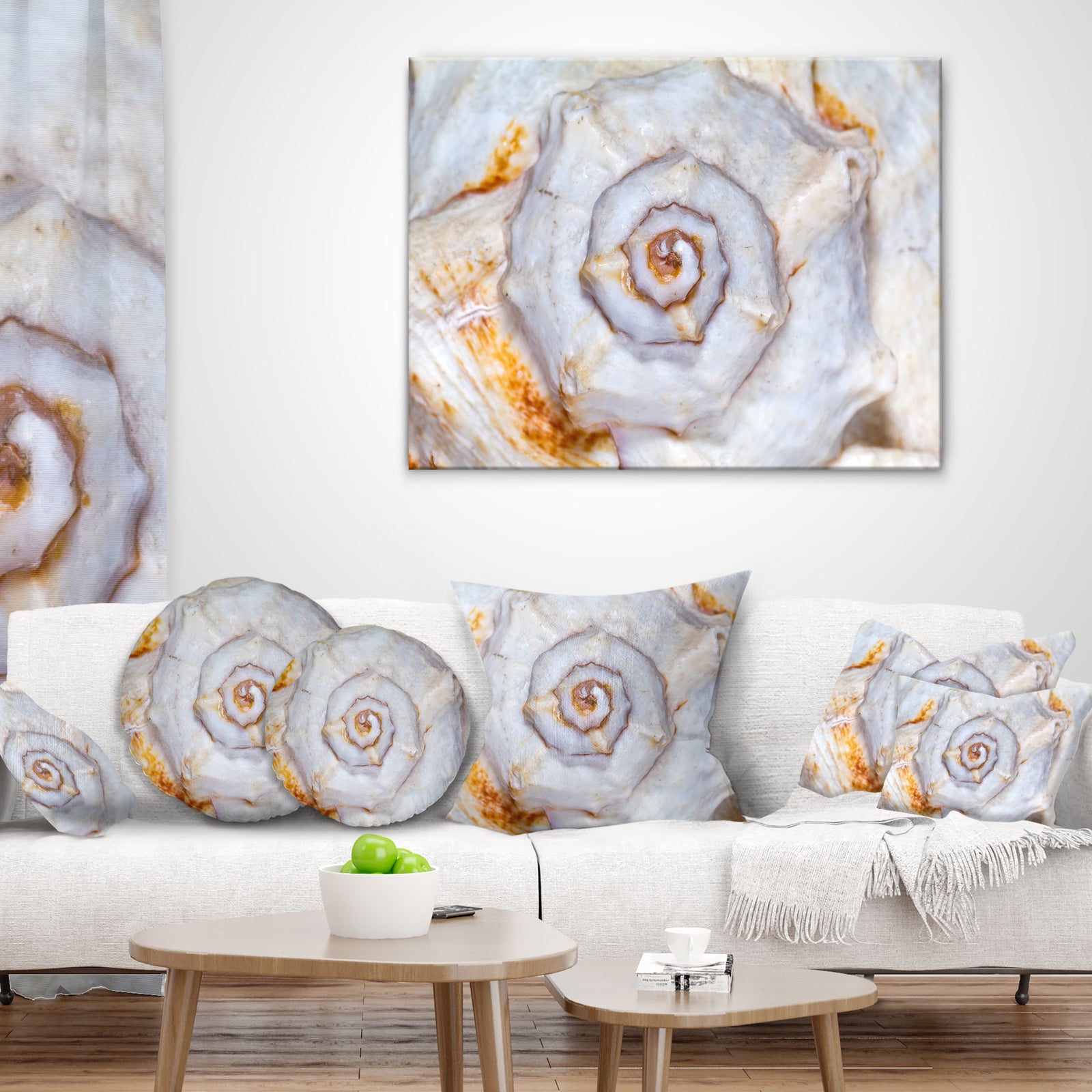 Great Skeleton of Sea Shell - Oversized Animal Wall Art