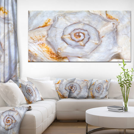 Great Skeleton of Sea Shell - Oversized Animal Wall Art