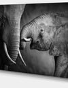 Elephants Showing Affection - Abstract Canvas Art Print