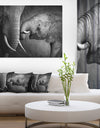 Elephants Showing Affection - Abstract Canvas Art Print