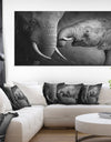 Elephants Showing Affection - Abstract Canvas Art Print