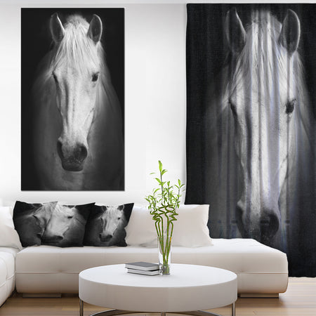 White Horse Black and White - Animal Canvas Art Print