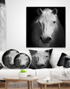 White Horse Black and White - Animal Canvas Art Print