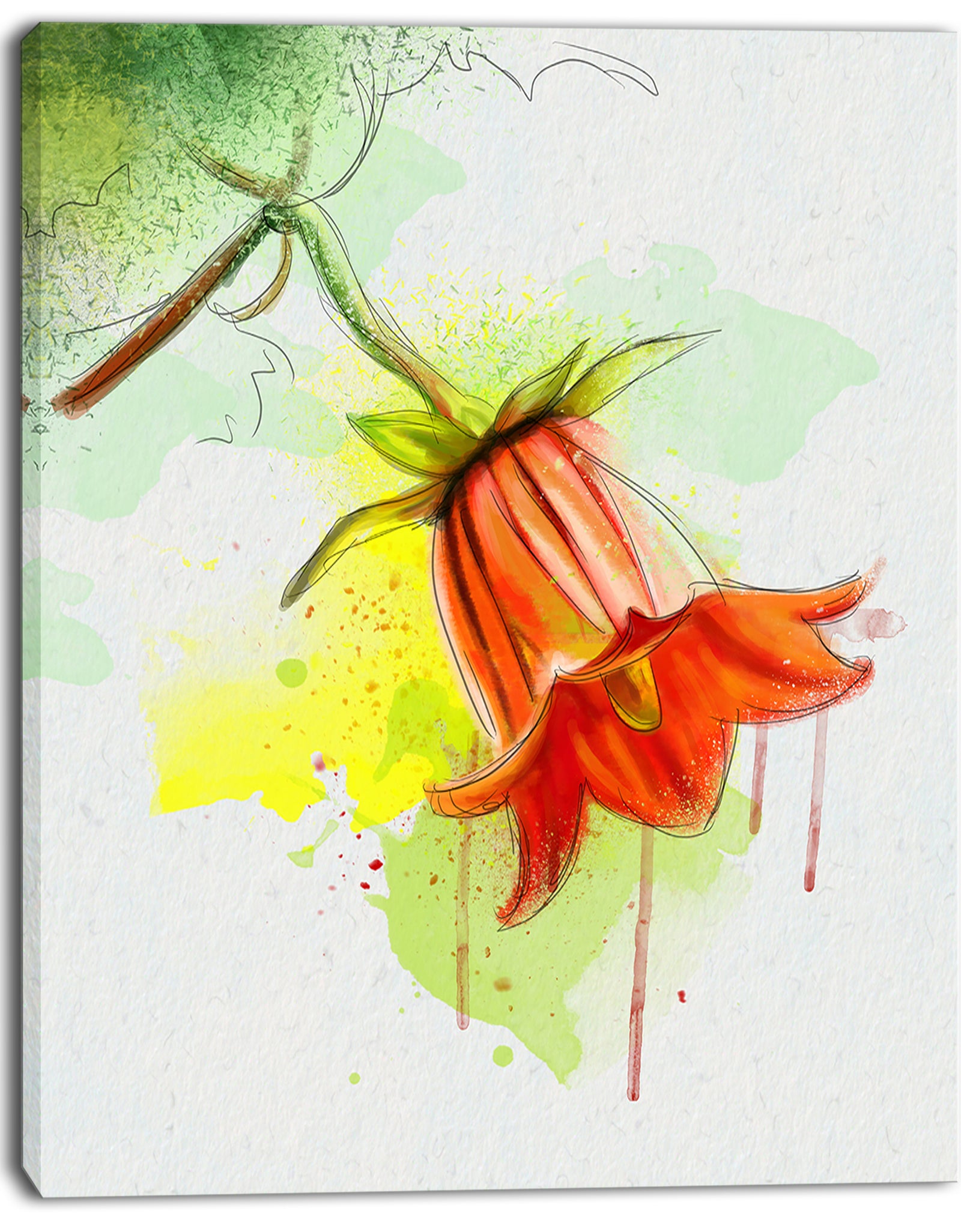 Red Bellflower Sketch Watercolor - Modern Floral Canvas Wall Art