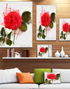 Red Rose with Green Petals - Modern Floral Canvas Wall Art