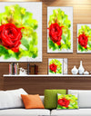 Bright Red Rose on Light Green - Modern Floral Canvas Wall Art