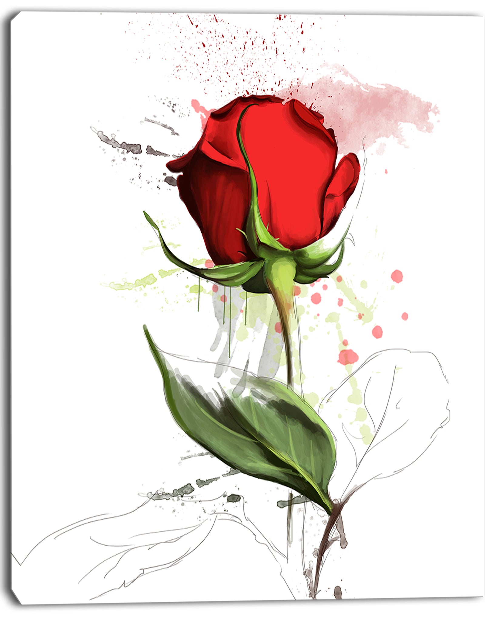 Red Rose Hand-drawn Illustration - Modern Floral Canvas Wall Art