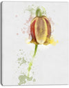 Brown Tulip Sketch Watercolor - Modern Floral Canvas Wall Art