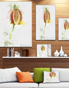 Brown Tulip Sketch Watercolor - Modern Floral Canvas Wall Art