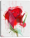 Colorful Red Rose Sketch Watercolor - Modern Floral Canvas Wall Art