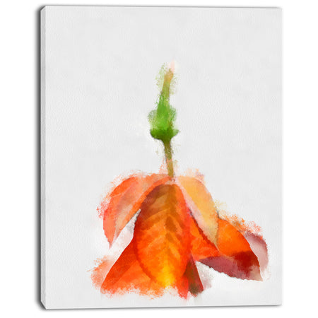 Rose Flower Stem with Shed Petals - Large Floral Canvas Artwork