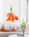 Rose Flower Stem with Shed Petals - Large Floral Canvas Artwork