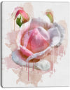 Pink Rose Flower with Paint Splashes - Large Floral Canvas Artwork