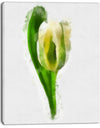 White Tulip with Green Leaves - Large Floral Canvas Artwork