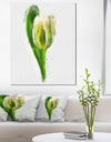 White Tulip with Green Leaves - Large Floral Canvas Artwork