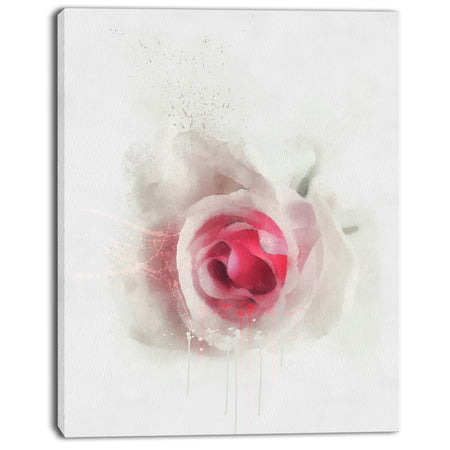 White Rose with Pink Petals - Large Floral Canvas Artwork