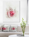 White Rose with Pink Petals - Large Floral Canvas Artwork