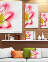 Beautiful Pink Flower Painting - Large Floral Canvas Artwork