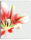 Large Watercolor Red Tulip Flower - Large Floral Canvas Artwork