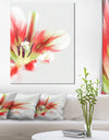 Large Watercolor Red Tulip Flower - Large Floral Canvas Artwork