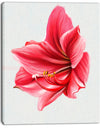 Big Red Flower Sketch on White - Large Floral Canvas Artwork