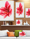 Big Red Flower Sketch on White - Large Floral Canvas Artwork