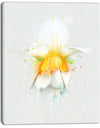 White Narcissus Flower Watercolor - Extra Large Floral Canvas Art