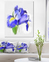 Blue Iris Illustration Watercolor - Extra Large Floral Canvas Art