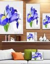 Blue Iris Illustration Watercolor - Extra Large Floral Canvas Art