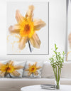 Yellow Narcissus Sketch Watercolor - Extra Large Floral Canvas Art