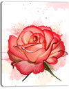 Red Rose Illustration with Splashes - Extra Large Floral Canvas Art