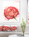 Red Rose Illustration with Splashes - Extra Large Floral Canvas Art