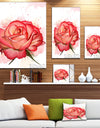 Red Rose Illustration with Splashes - Extra Large Floral Canvas Art