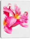 Beautiful Flowers with Big Pink Petals - Extra Large Floral Canvas Art