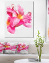 Beautiful Flowers with Big Pink Petals - Extra Large Floral Canvas Art