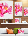 Beautiful Flowers with Big Pink Petals - Extra Large Floral Canvas Art