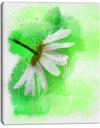 White Chamomile with Green Splashes - Extra Large Floral Canvas Art