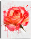 Red Rose Hand-drawn with Splashes - Extra Large Floral Canvas Art