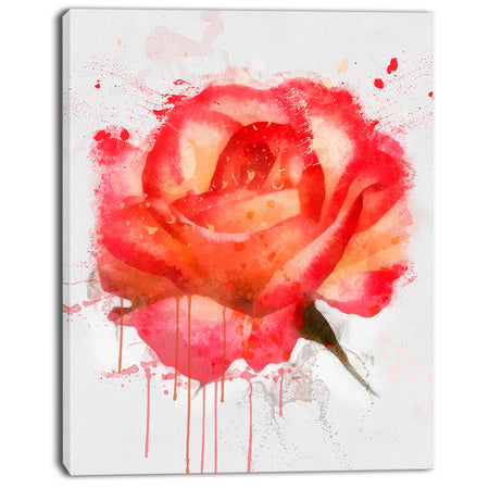 Red Rose Hand-drawn with Splashes - Extra Large Floral Canvas Art