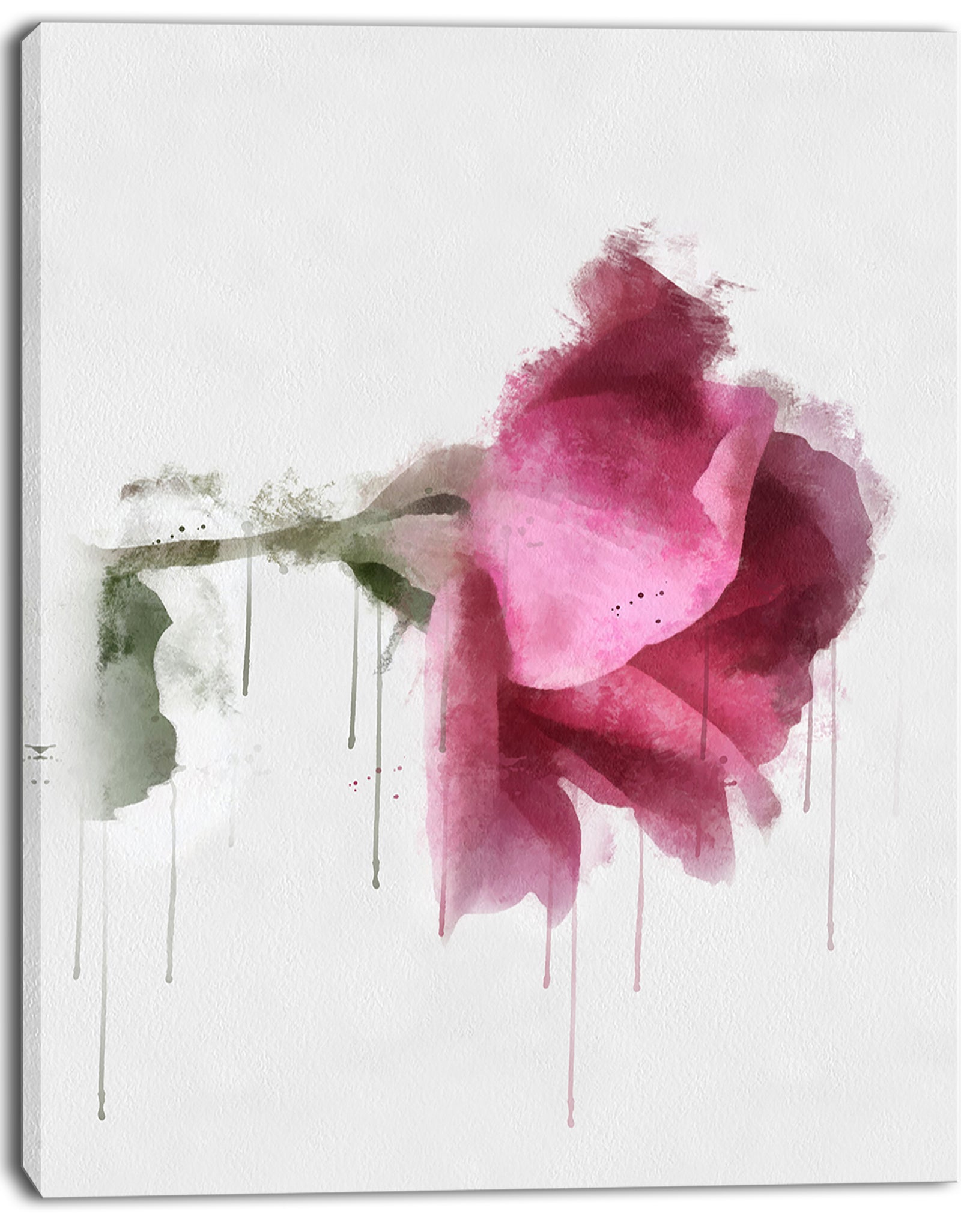Beautiful Rose Watercolor Drawing - Floral Canvas Artwork Print