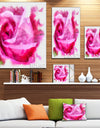 Bloomy Pink Rose Watercolor Drawing - Floral Canvas Artwork Print