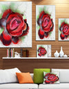 Beautiful Red Rose with Green Shade - Floral Canvas Artwork Print