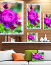 Purple Watercolor Rose Painting - Floral Canvas Artwork Print