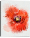 Stylish Red Watercolor Poppy Flower - Floral Canvas Artwork Print