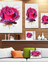 Watercolor Dark Red Rose Sketch - Floral Canvas Artwork Print